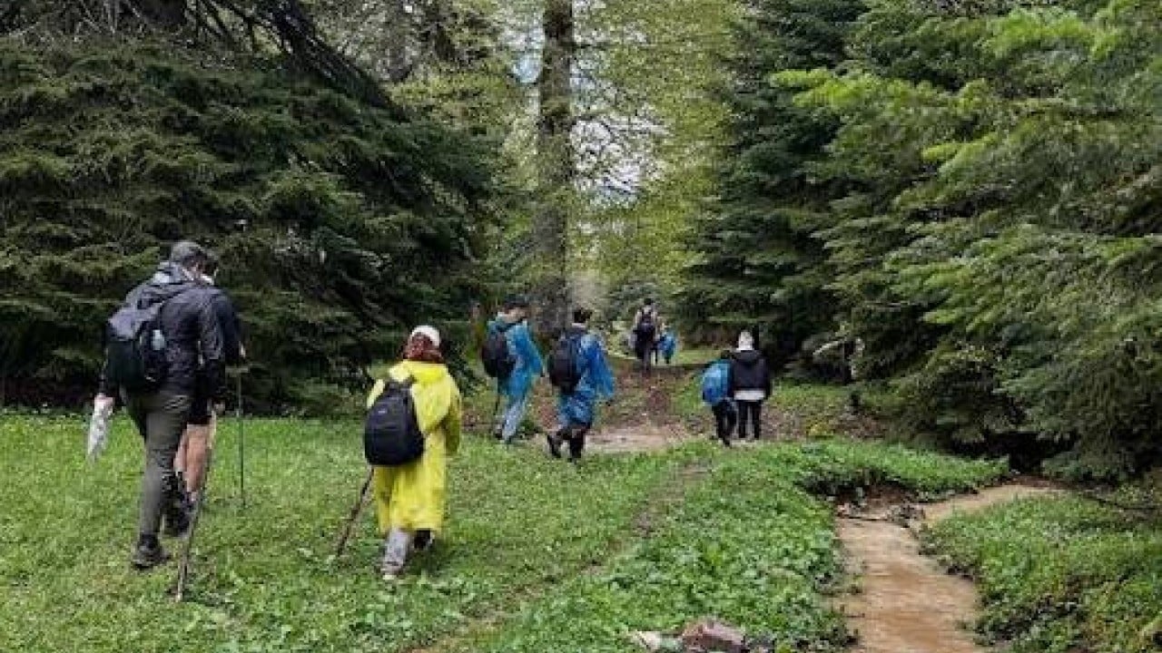 Foto - Uzmanlar uyarıyor risk büyük Yaylaya çıkanların beyinleri tehlikede