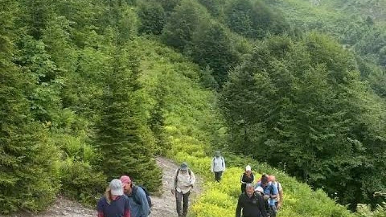 Foto - Uzmanlar uyarıyor risk büyük Yaylaya çıkanların beyinleri tehlikede