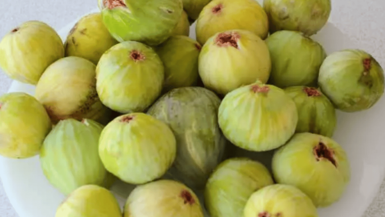 Foto - Uzmanlar sakın yemeyin diyerek uyardı: Sokakta uzak durulması gereken 10 yiyecek!