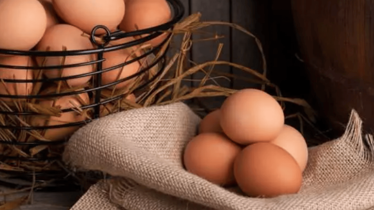 Uzmanlardan şaşırtan araştırma: 15 yıl boyunca her gün yumurta yerseniz ne olur? 