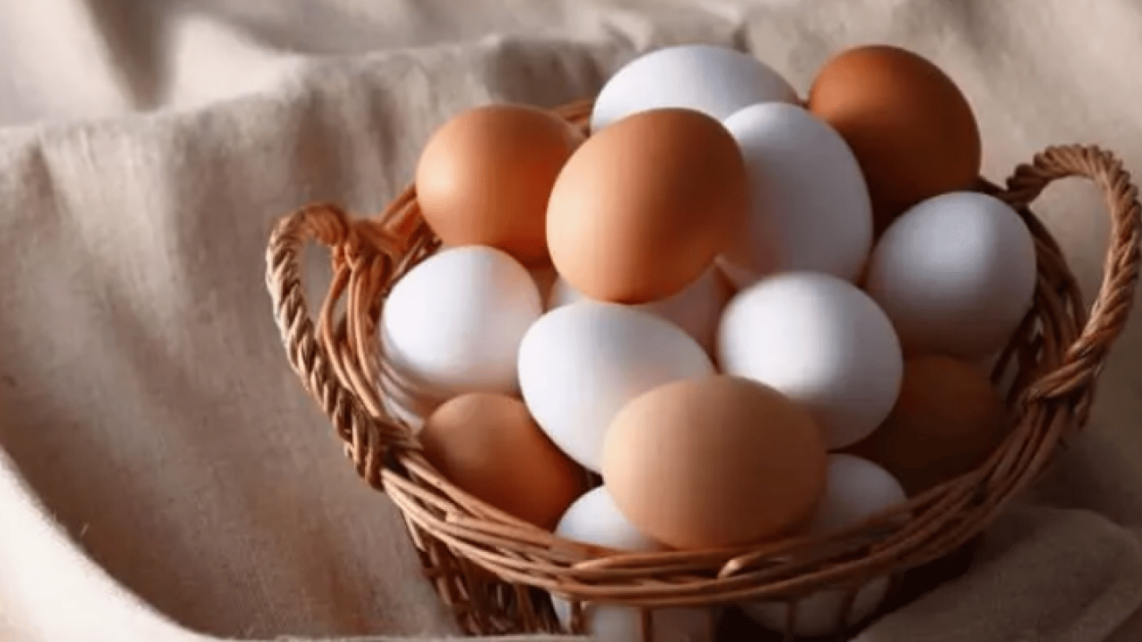 Foto - Uzmanlardan şaşırtan araştırma: 15 yıl boyunca her gün yumurta yerseniz ne olur? 