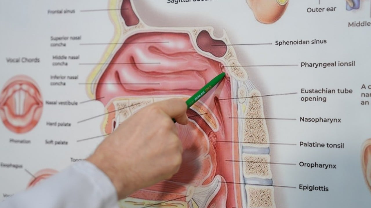 Foto - Uzmanlardan uyarı! Çocuklarda o hastalıların sebebi geniz eti olabilir