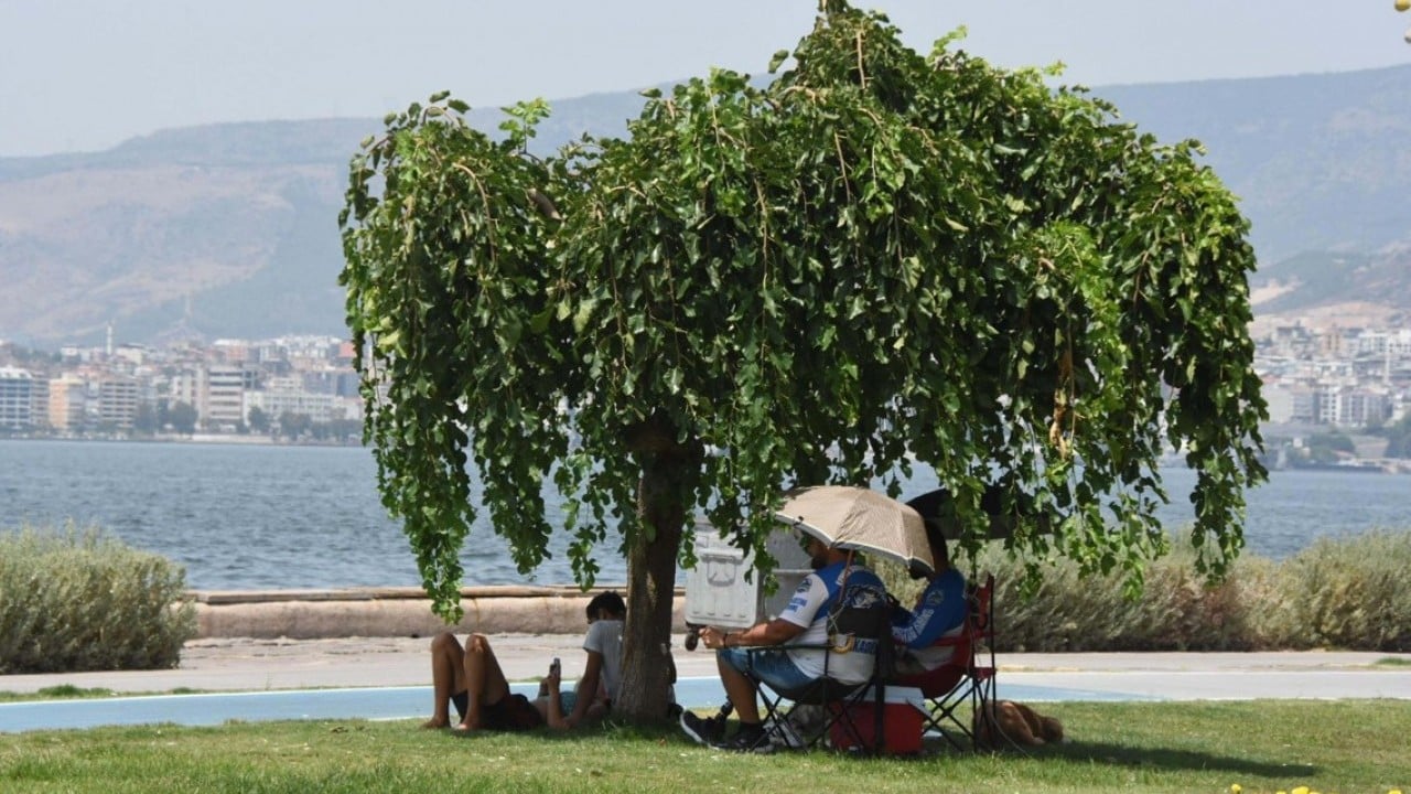 Foto - Uzmanlardan uyarı geldi! Sıcaklık ve orman yangınına dikkat