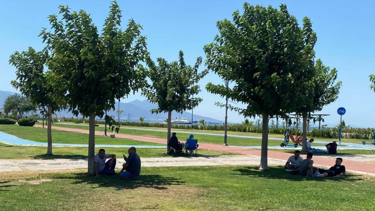 Foto - Uzmanlardan uyarı geldi! Sıcaklık ve orman yangınına dikkat