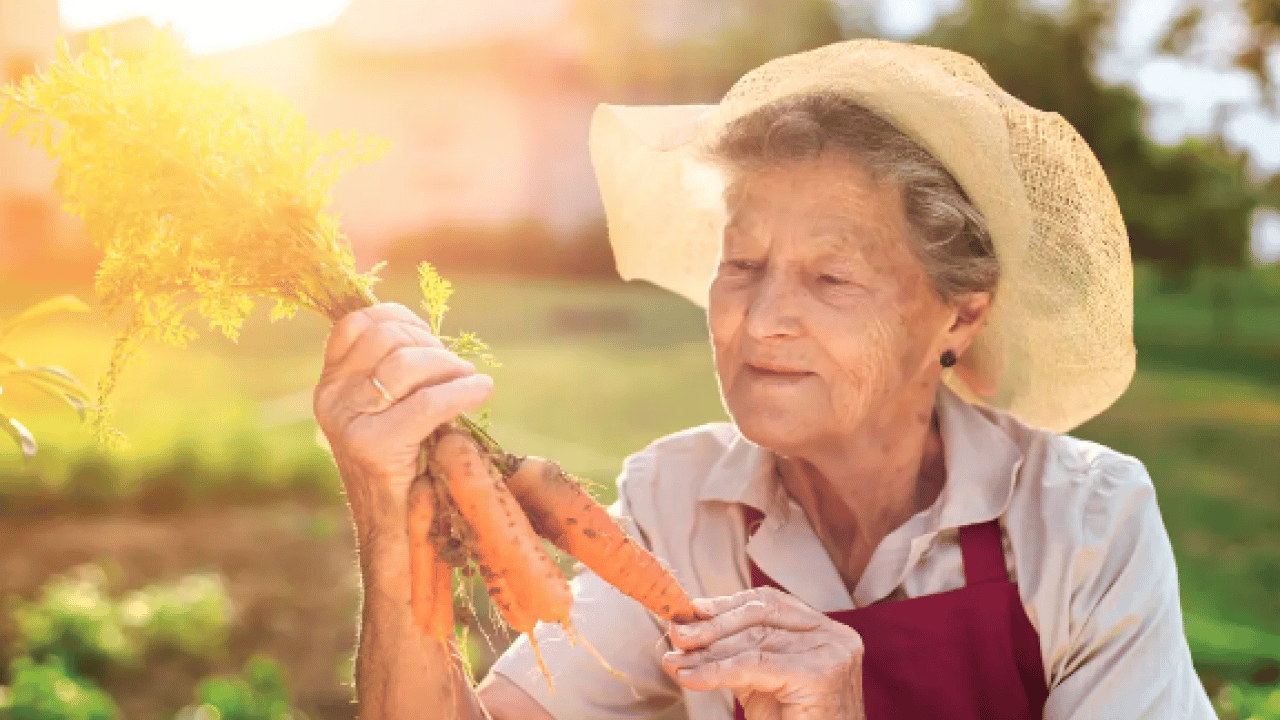 Foto - Uzun ömür uzmanından 5 altın kural! Büyükanneler yine haklı çıktı... Sağlıklı yaşamın şifresi burada...