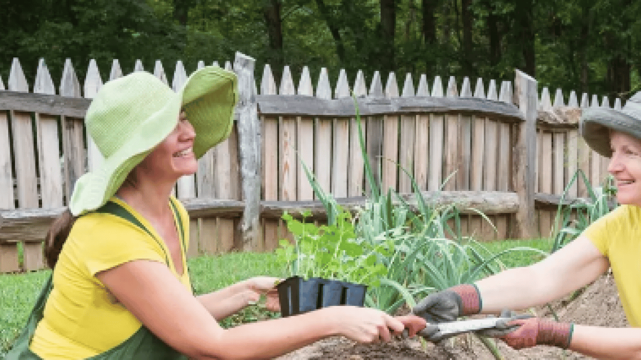 Foto - Uzun ömür uzmanından 5 altın kural! Büyükanneler yine haklı çıktı... Sağlıklı yaşamın şifresi burada...