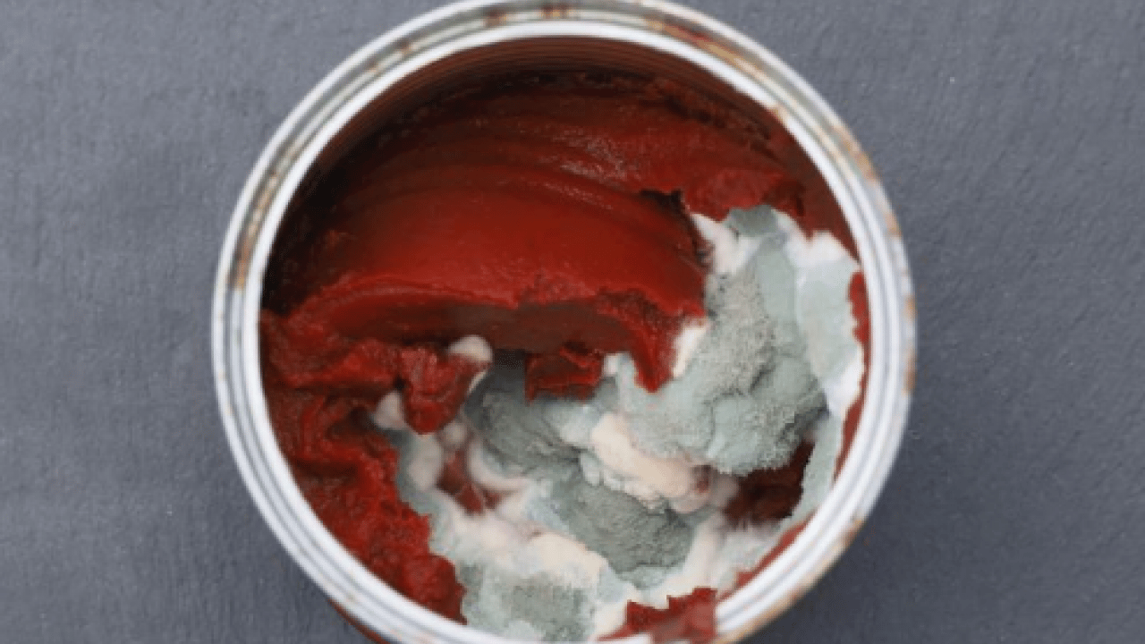 Uzun süre saklamak daha kolay olacak! Salçanın küflenmemesini önleyen doğal yöntem açıklandı