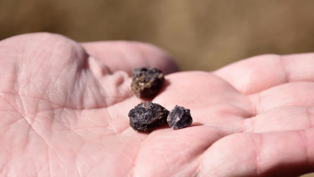 Foto - Türkiye'ye uzun yıllar yetecek: '694 Milyon Tonluk rezerv keşfedildi!'