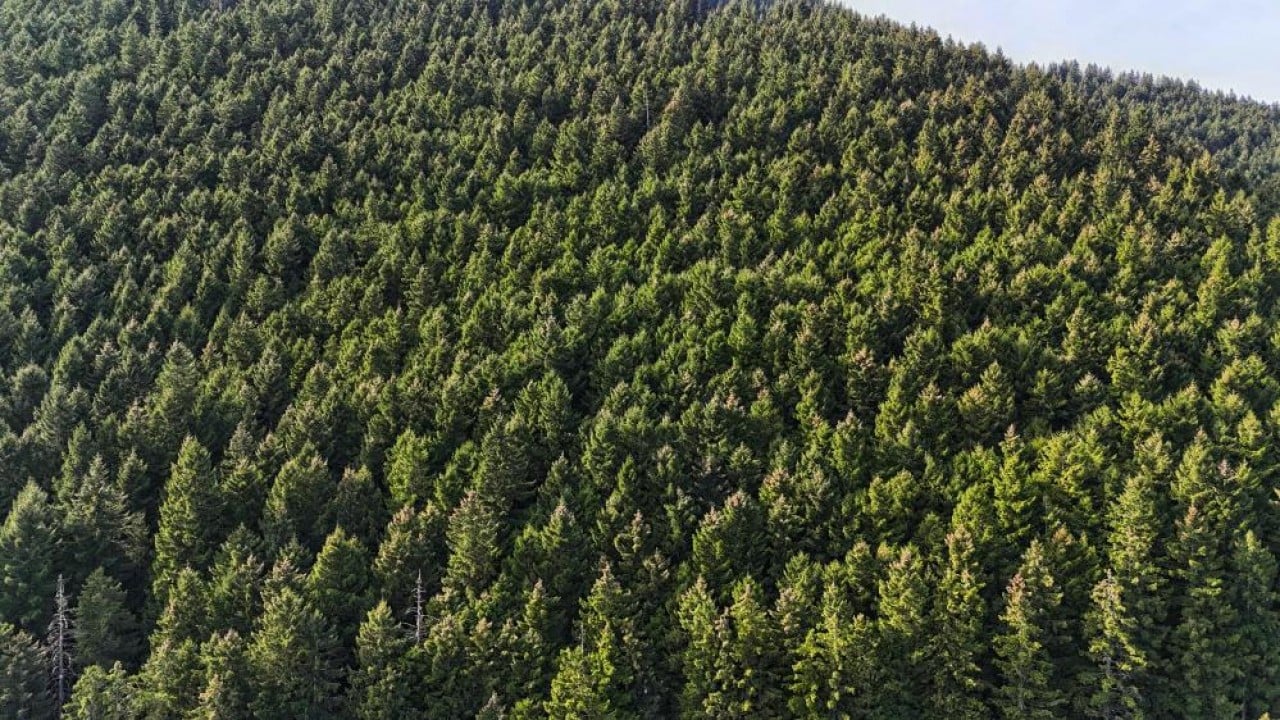 Foto - Uzungöl sonbaharda bir başka güzel!