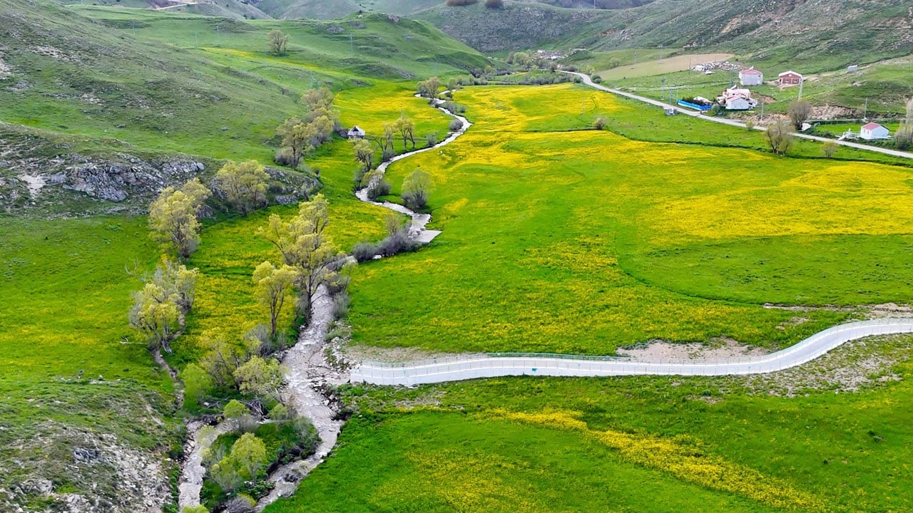 Foto - Vadi sarıya boyandı! Bu manzara yalnızca 20 gün sürüyor