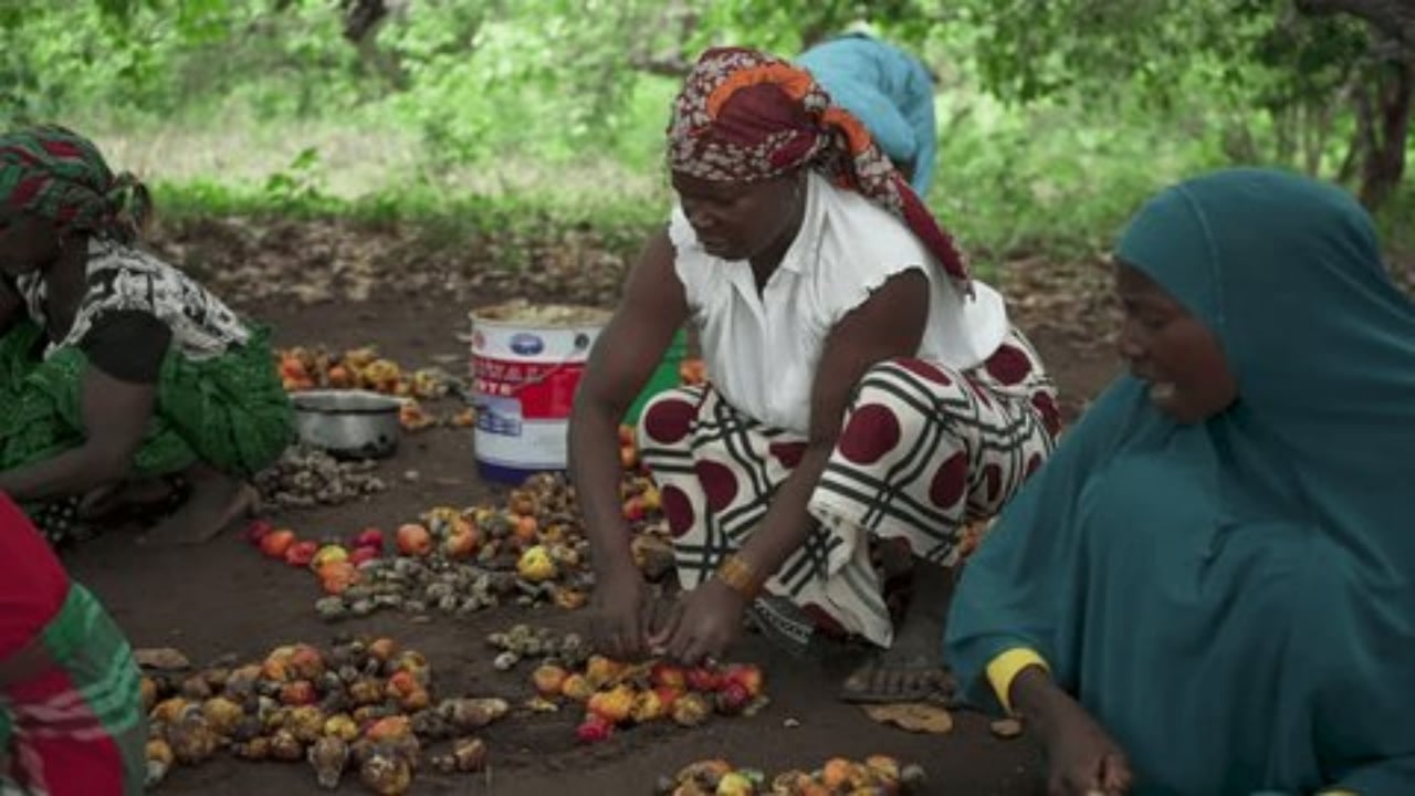 Foto - Vahşi katliam! Tarlayı basıp kana buladılar: 15 köylü öldü