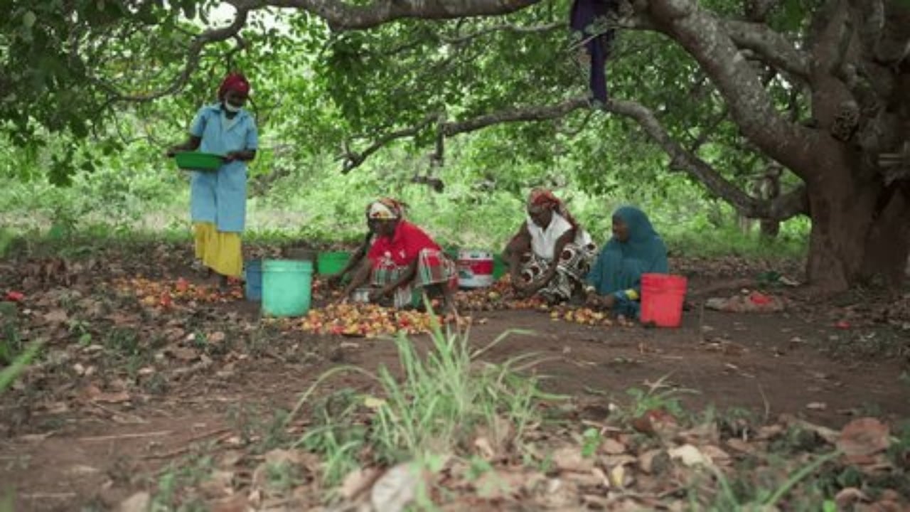 Foto - Vahşi katliam! Tarlayı basıp kana buladılar: 15 köylü öldü