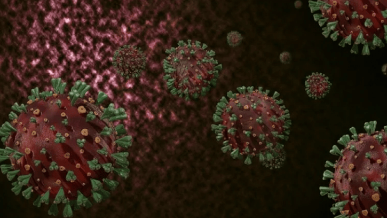 Foto - Vakalarda patlama yaşanıyor: ''Beyaz veba'' tehlike saçıyor!