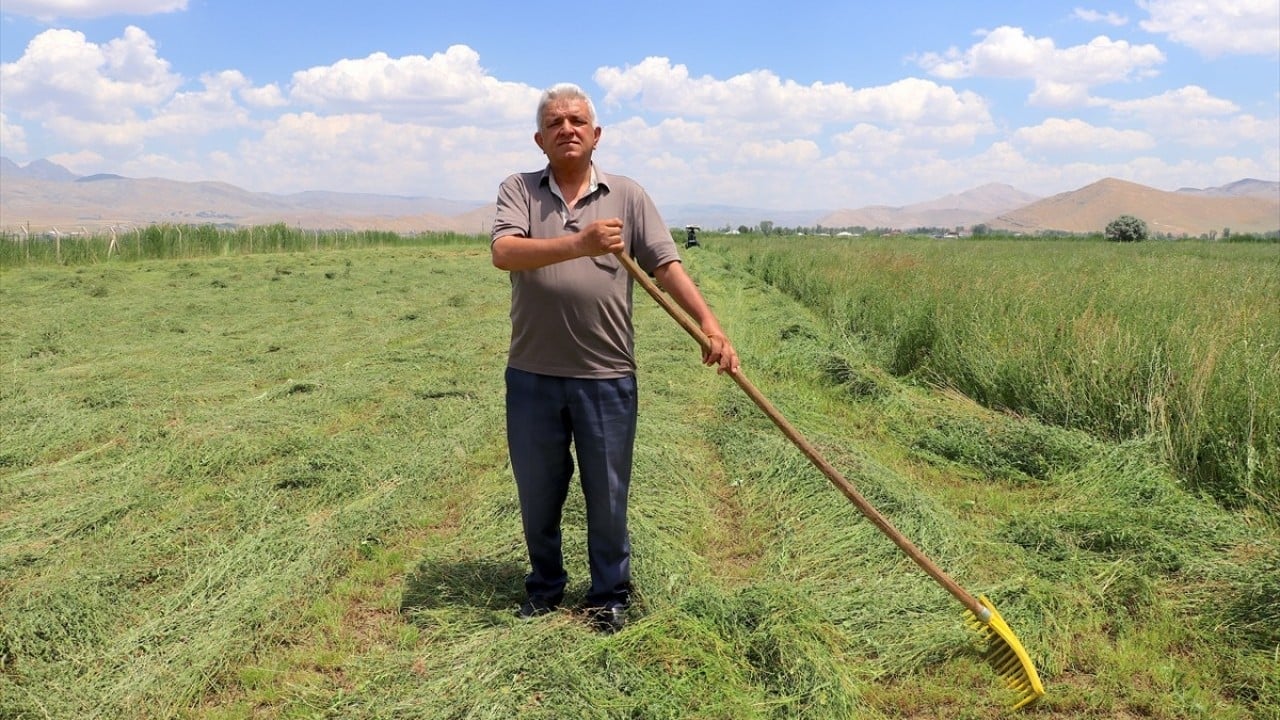 Foto - Van Gölü Havzası yeşerdi Meralarla birlikte üreticinin umudu da canlandı