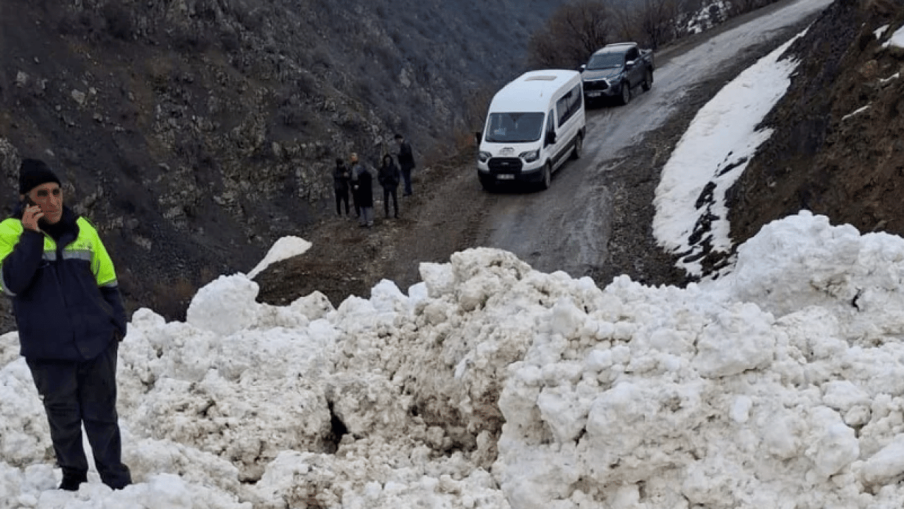 Foto - Van'da çığ düştü! O bölgelere ulaşım kapandı!