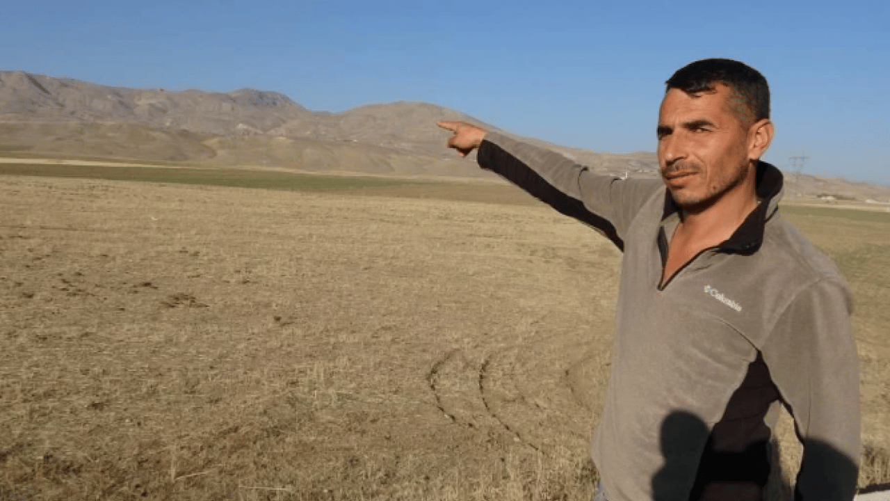 Foto - Van’da dehşete düşüren görüntü! Onlarca hayvan telef oldu