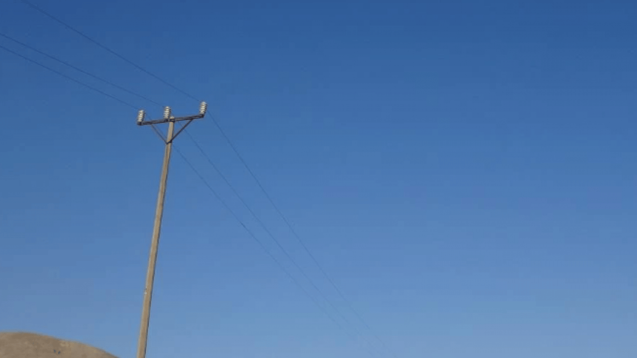 Foto - Van’da dehşete düşüren görüntü! Onlarca hayvan telef oldu