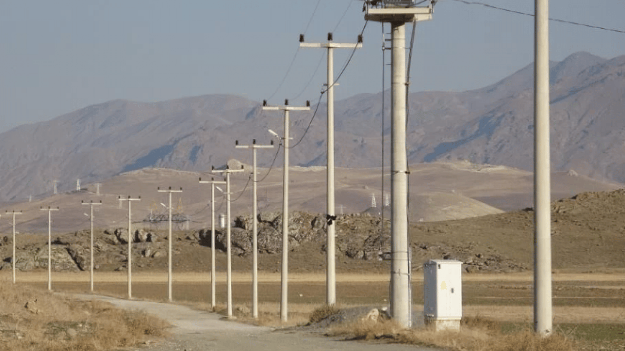 Foto - Van’da dehşete düşüren görüntü! Onlarca hayvan telef oldu
