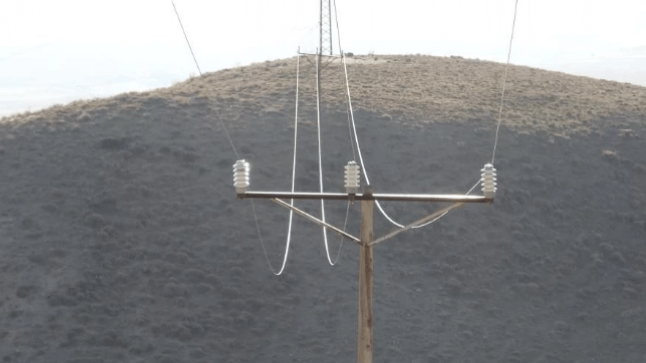 Foto - Van’da dehşete düşüren görüntü! Onlarca hayvan telef oldu
