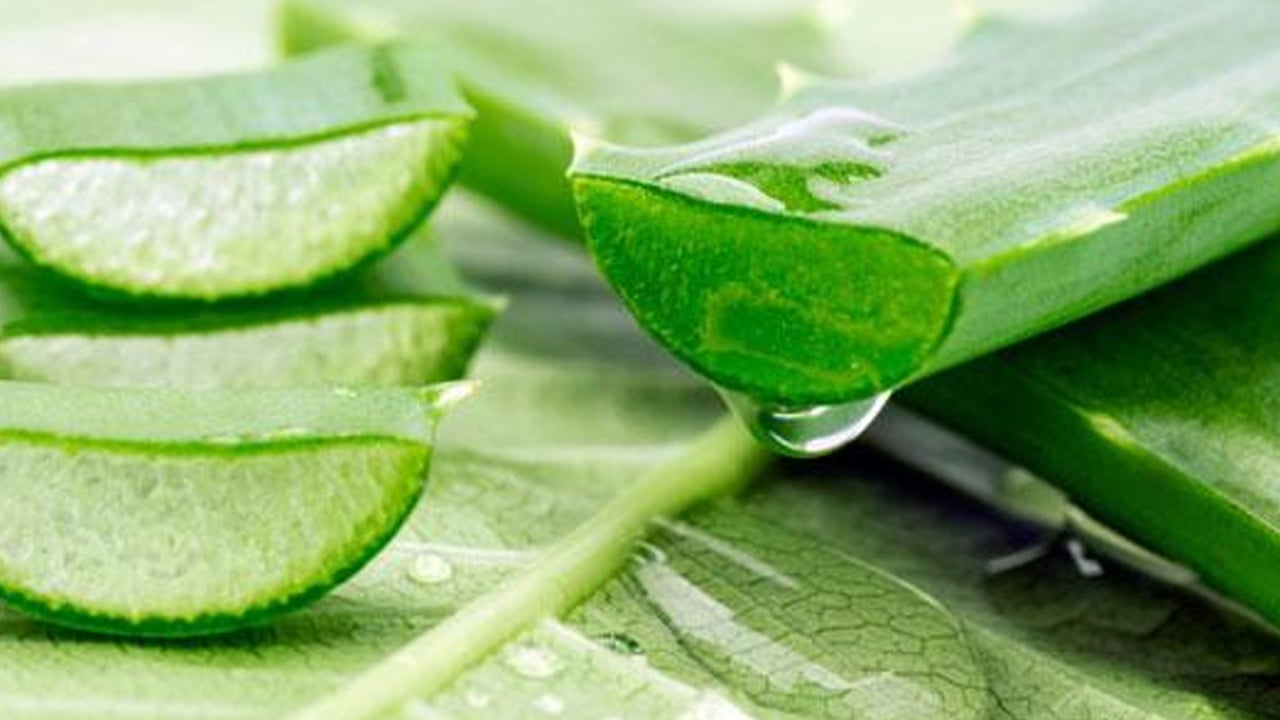 Foto - Varisli damarlardan sonsuza dek kurtaran karışım: Ayak için sıcak mı soğuk su mu kullanılır? Fayda etti