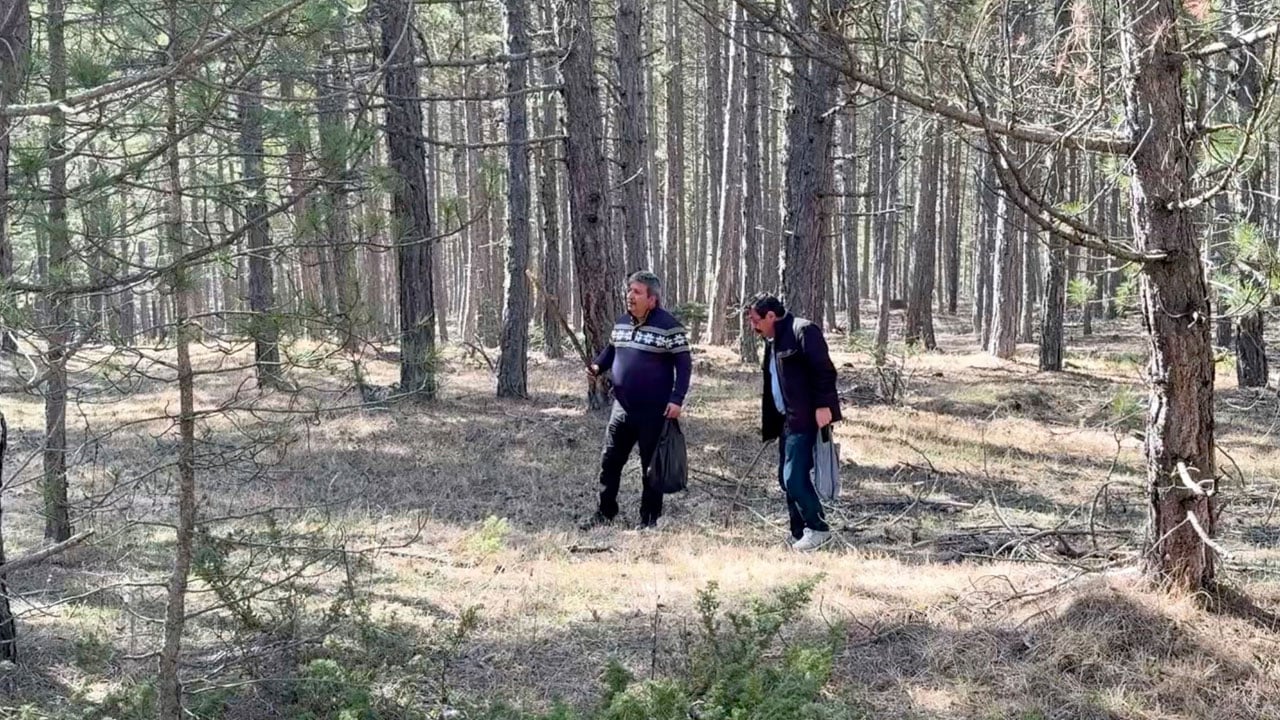 Foto - Vatandaş ormana akın ediyor! Bu mantarın kilosu 1500 TL