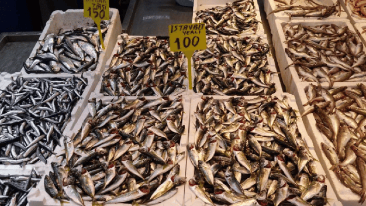 Foto - Vatandaşlar bayram etti! Trabzon'da deniz balık kaynıyor