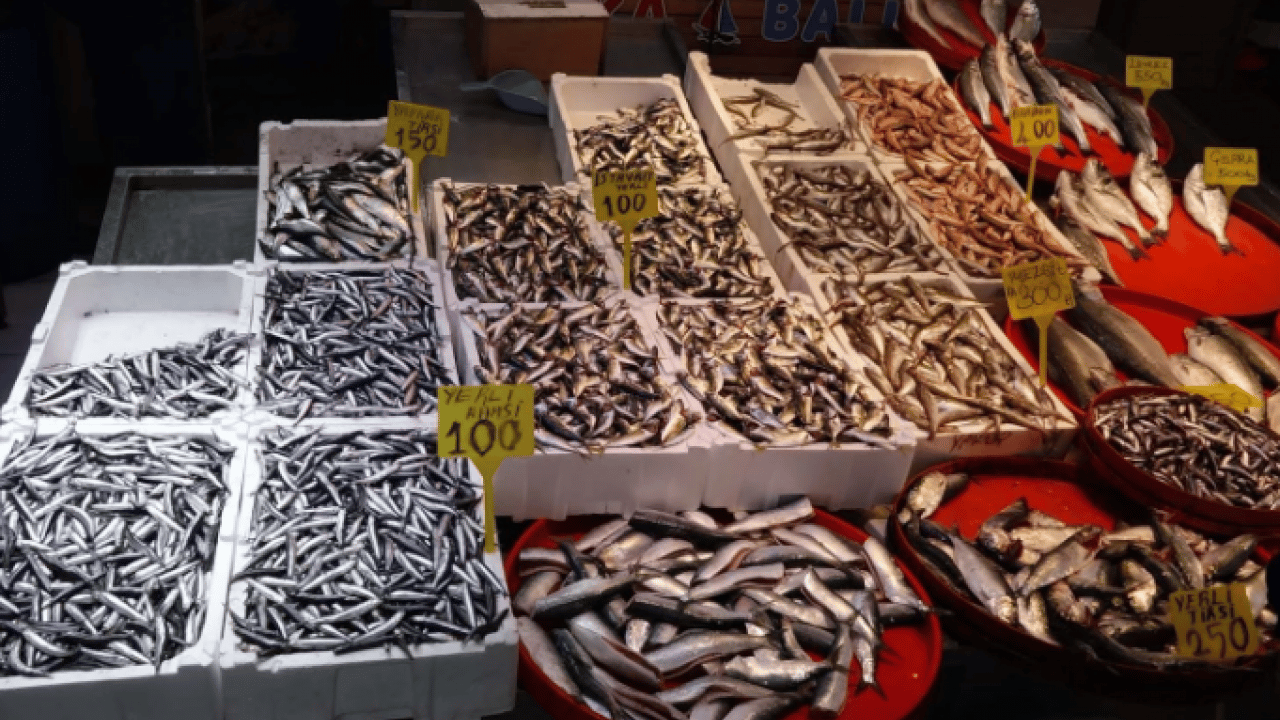 Foto - Vatandaşlar bayram etti! Trabzon'da deniz balık kaynıyor