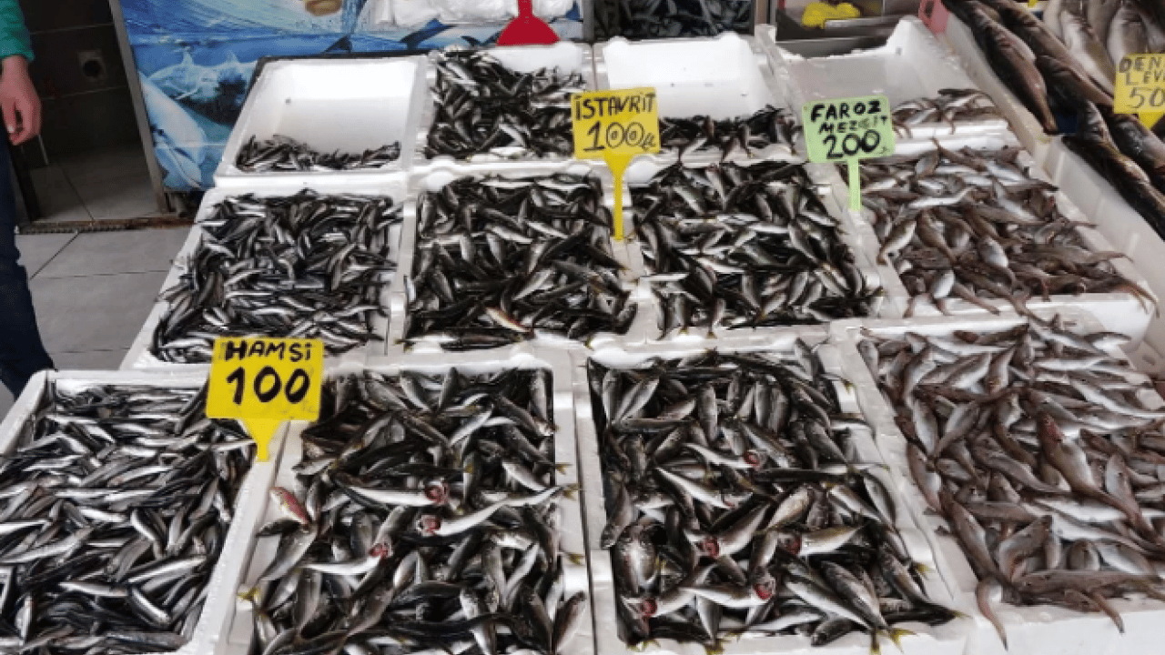 Foto - Vatandaşlar bayram etti! Trabzon'da deniz balık kaynıyor