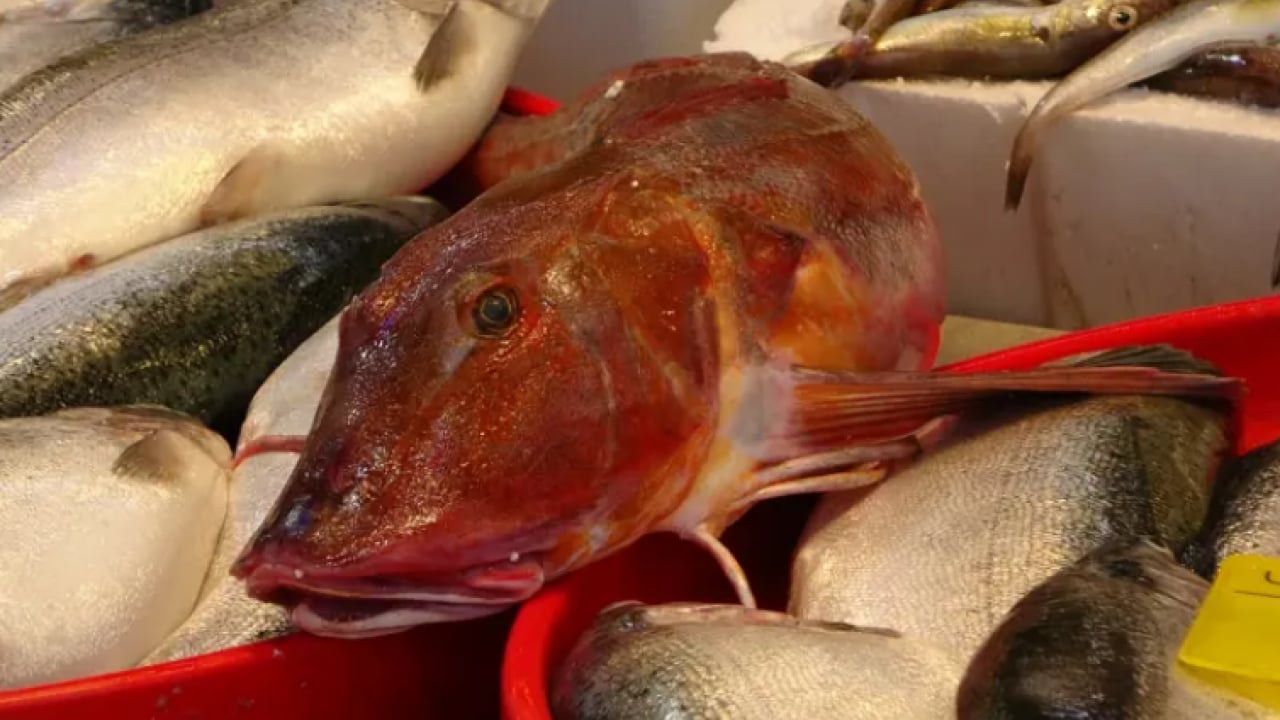 Foto - Vatandaşlar en çok hangisini tercih ediyor! Ramazanda balık satışları tavan yaptı