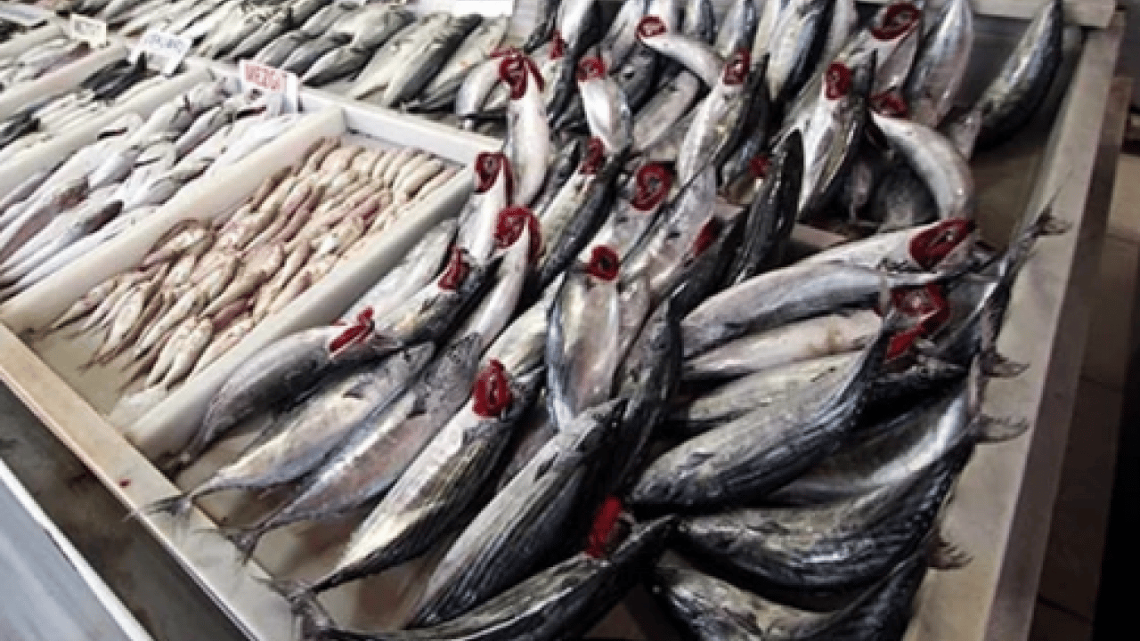 Vatandaşlar en çok hangisini tercih ediyor! Ramazanda balık satışları tavan yaptı