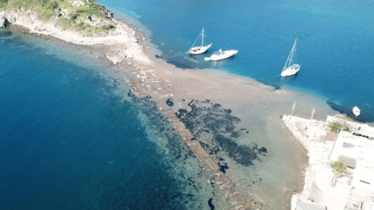 Foto - Vatandaşlar görmek için sıraya giriyor1 Yılın bu zamanları denizde beliriyor