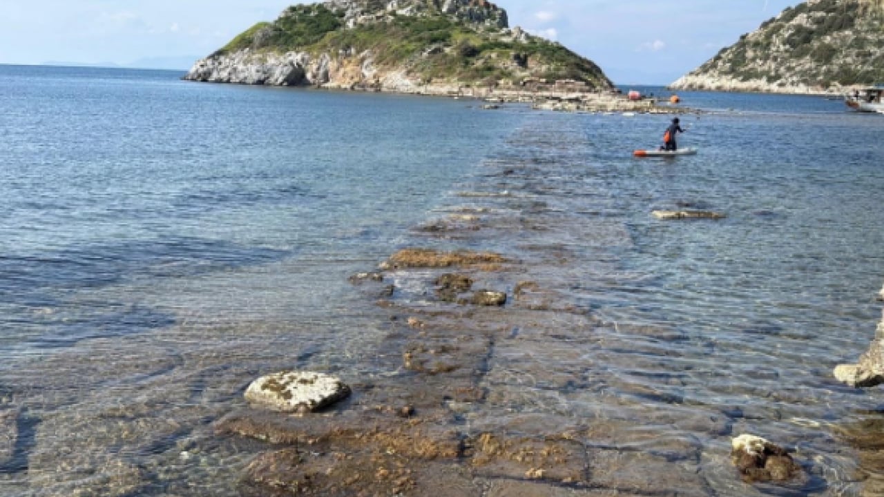 Foto - Vatandaşlar görmek için sıraya giriyor1 Yılın bu zamanları denizde beliriyor