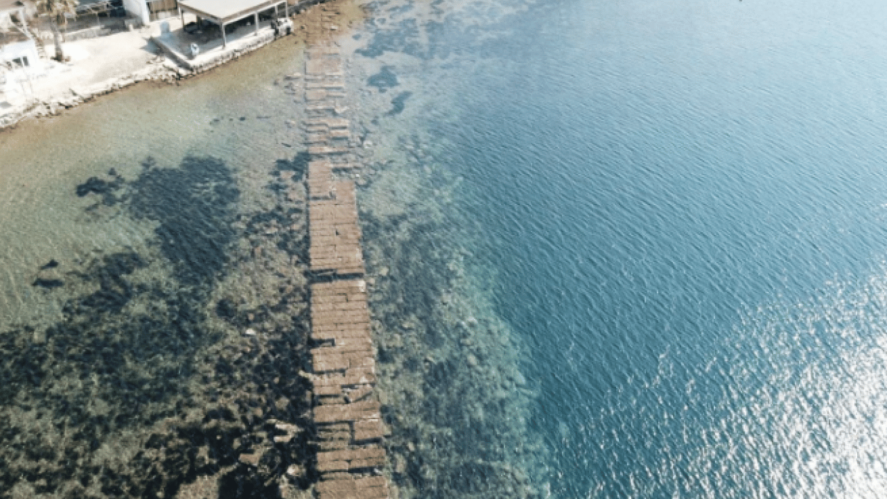 Vatandaşlar görmek için sıraya giriyor1 Yılın bu zamanları denizde beliriyor