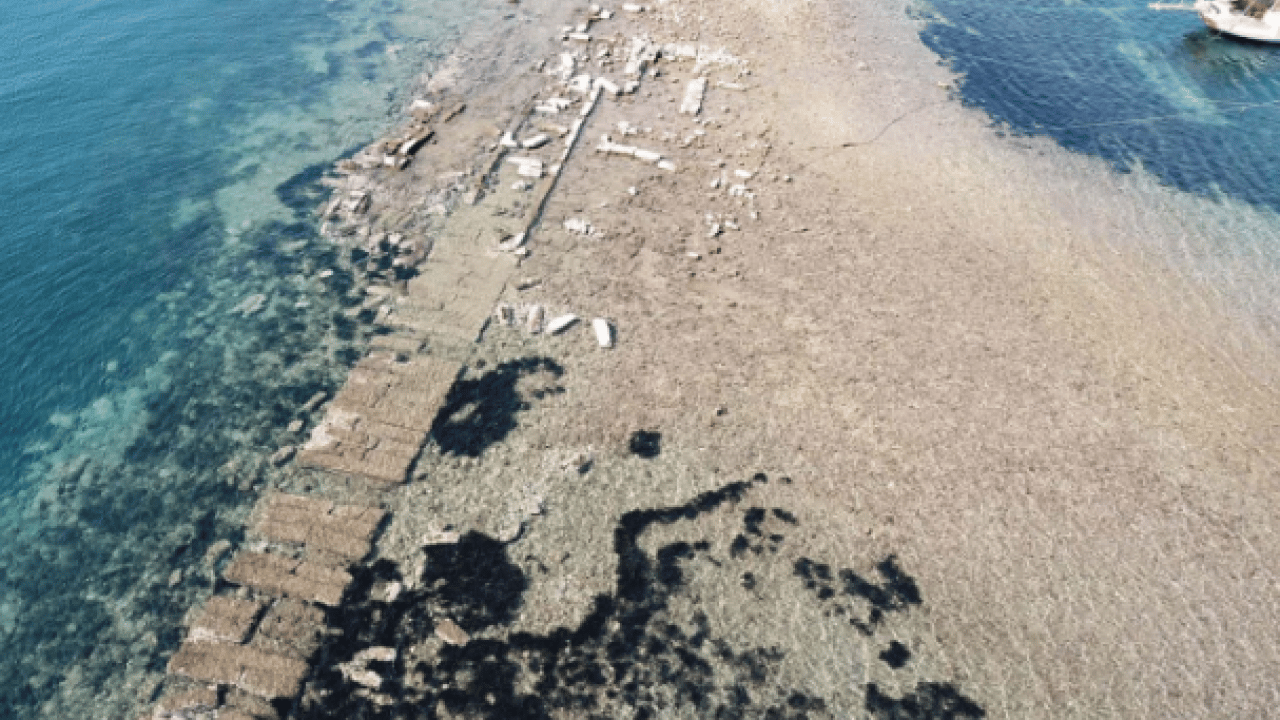 Foto - Vatandaşlar görmek için sıraya giriyor1 Yılın bu zamanları denizde beliriyor