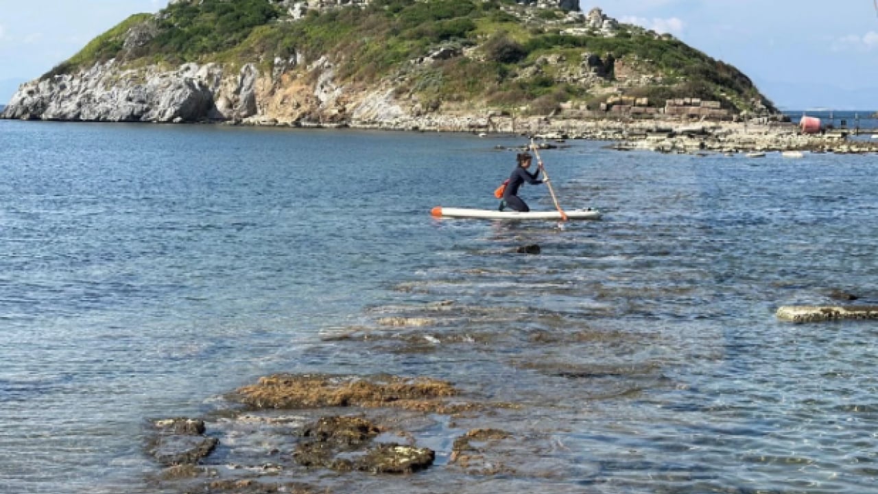 Foto - Vatandaşlar görmek için sıraya giriyor1 Yılın bu zamanları denizde beliriyor