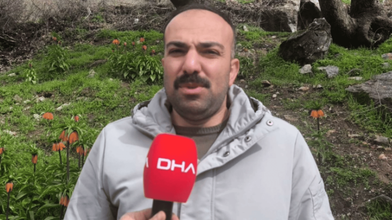 Foto - Vatandaşlar ilçeye akın etti! Koparmanın cezası 700 bin lira olan çiçeğe yoğun ilgi