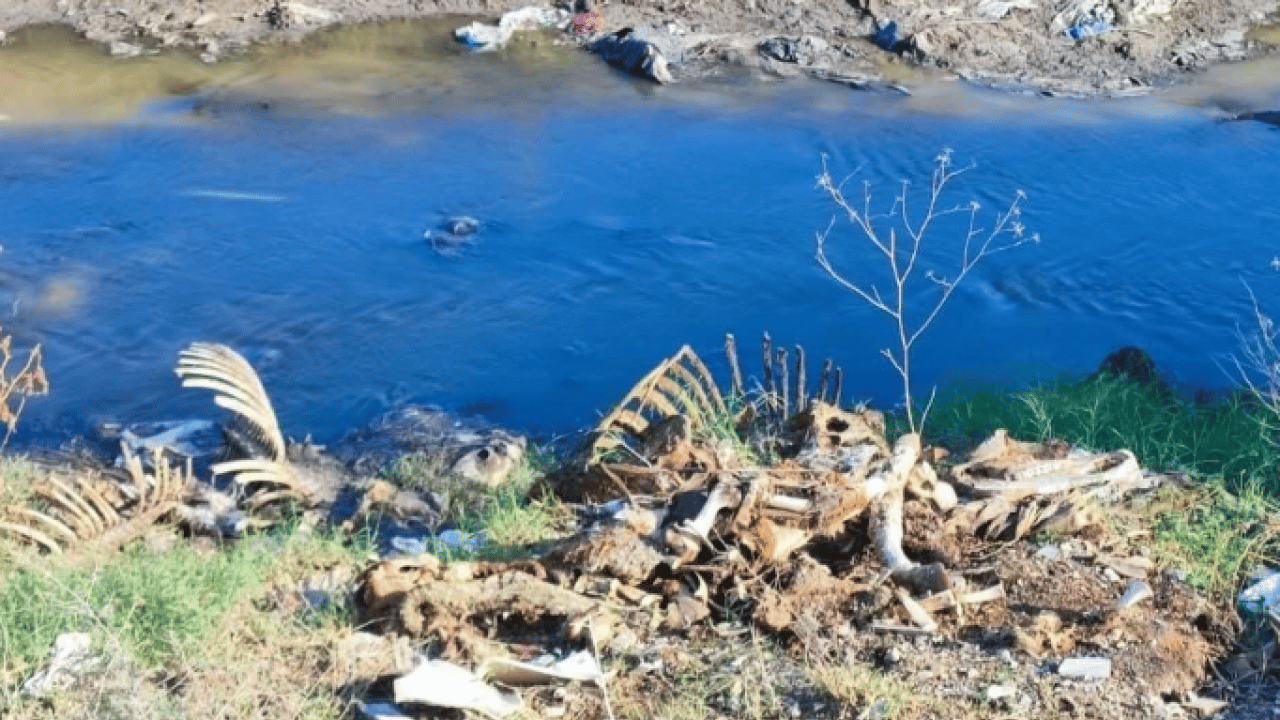 Foto - Vatandaşlar isyan etti! O ilimizde kötü kokudan nefes alınmıyor