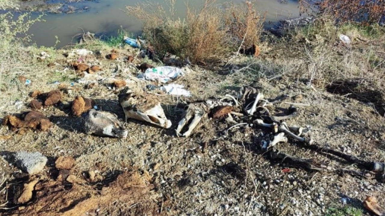 Foto - Vatandaşlar isyan etti! O ilimizde kötü kokudan nefes alınmıyor