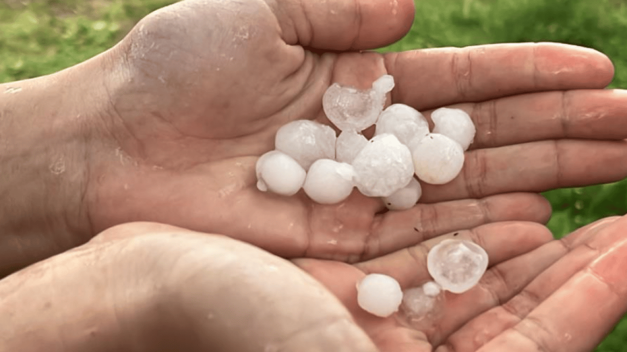 Vatandaşlar panik içinde kaçtı! Erik büyüklüğünde dolu yağışı korkuttu