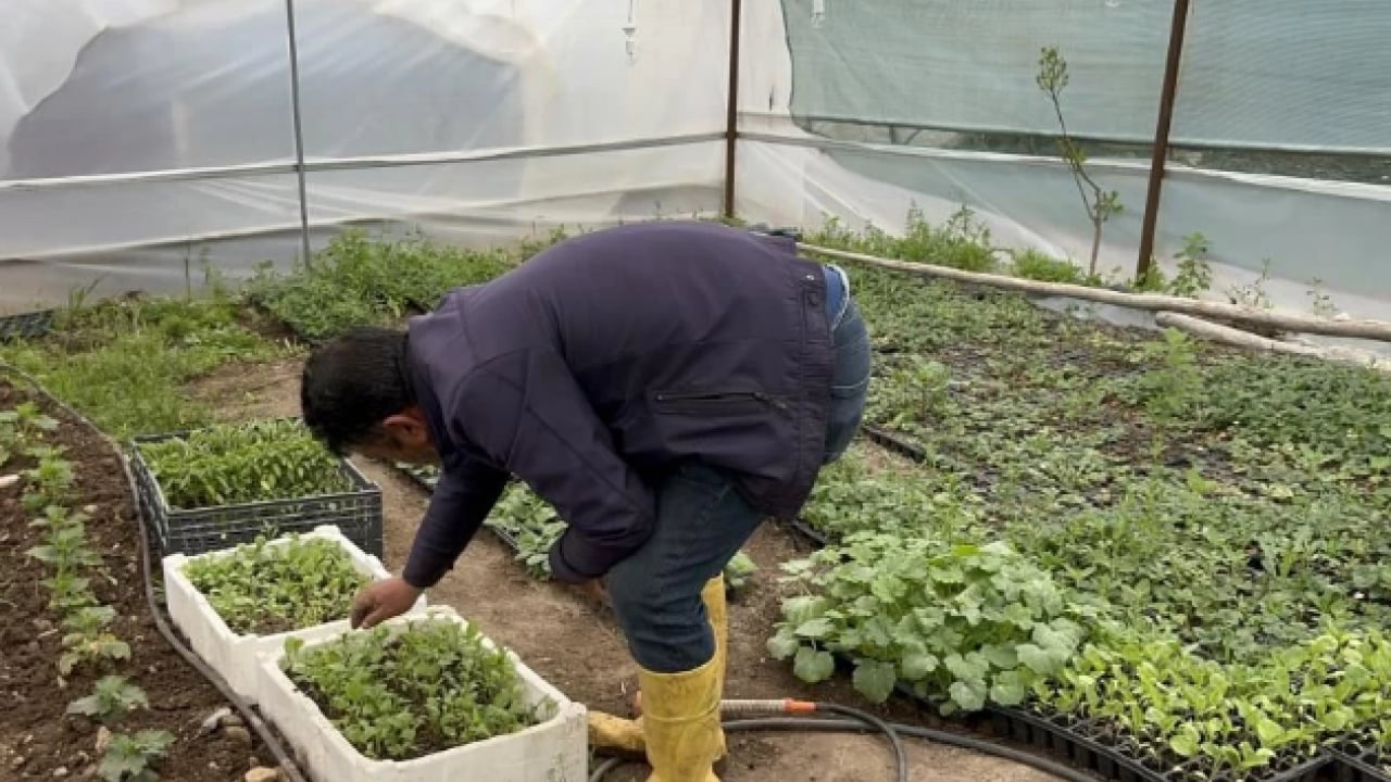Foto - Vatandaşlar şaşkına döndü! Daha önce böylesi görülmedi