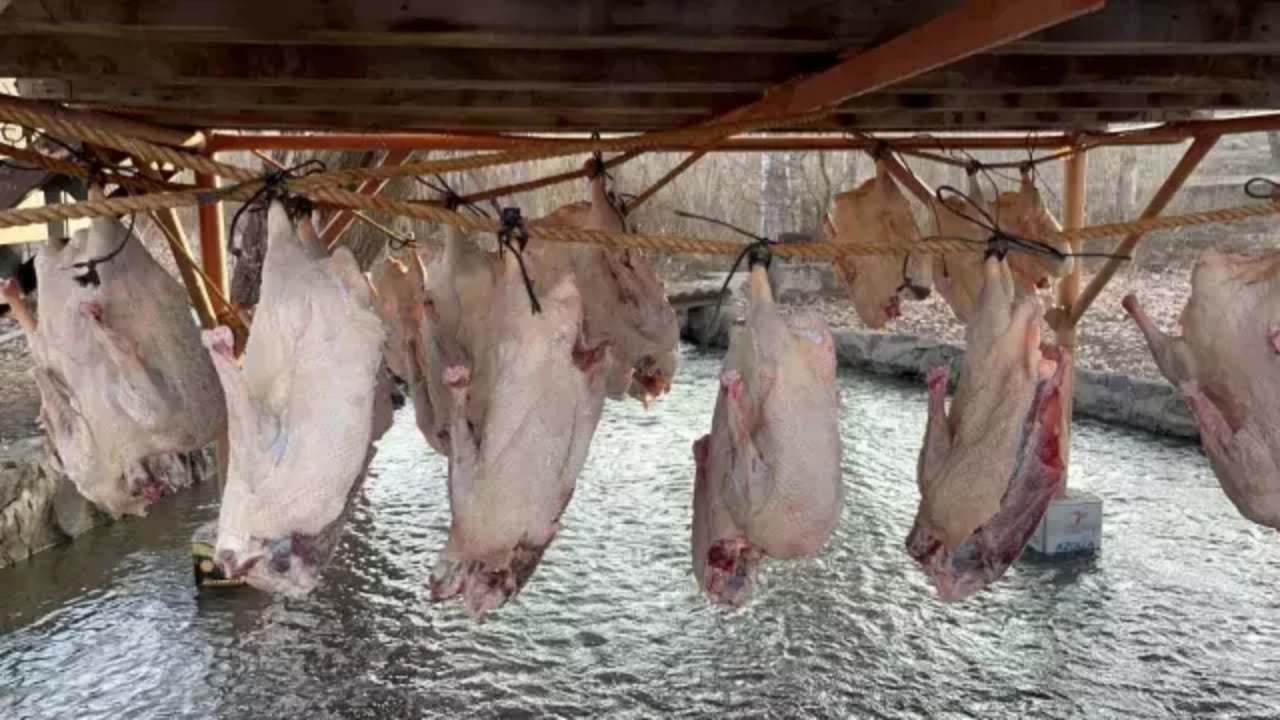 Foto - Ve bölge halkının dört gözle beklediği dönem geldi! Tanesini tamı tamına 6 bin liraya satıyorlar