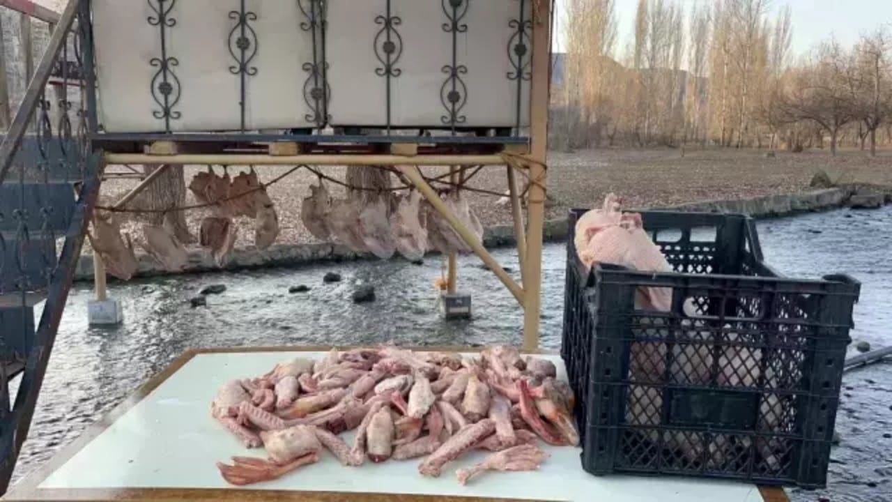 Foto - Ve bölge halkının dört gözle beklediği dönem geldi! Tanesini tamı tamına 6 bin liraya satıyorlar