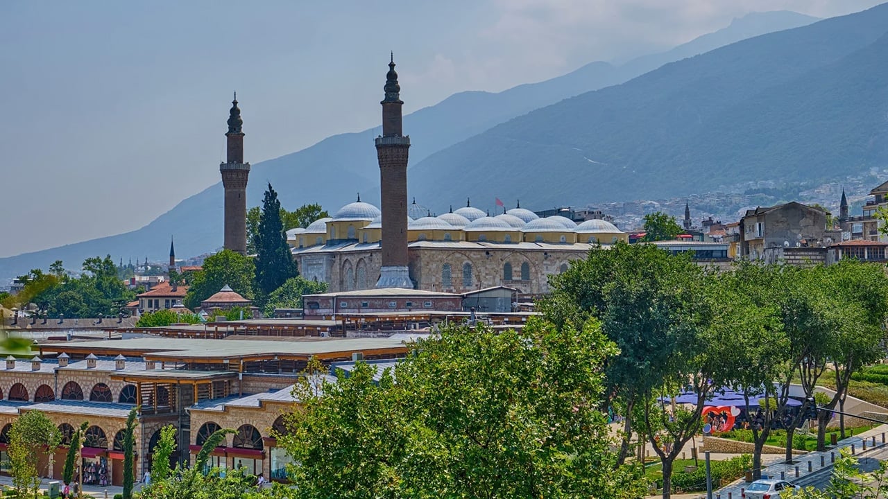 Ve en değerli nadir otlar sadece Türkiye'de var: Kimi sümbülü kimi kuşkonmazı biliyor... Talep o kadar artıyor ki...