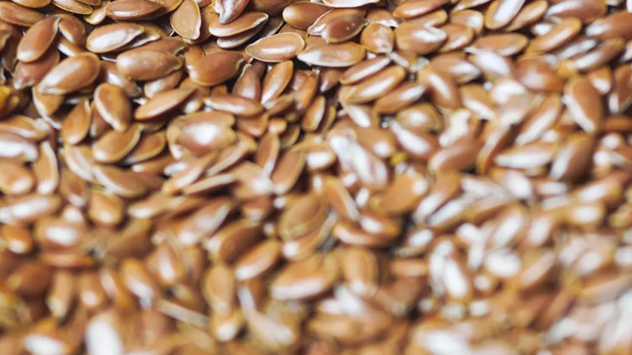 Foto - Bitkisel protein bombası: Bu tohum hafızayı besliyor! Keten tohumu bakın ne?