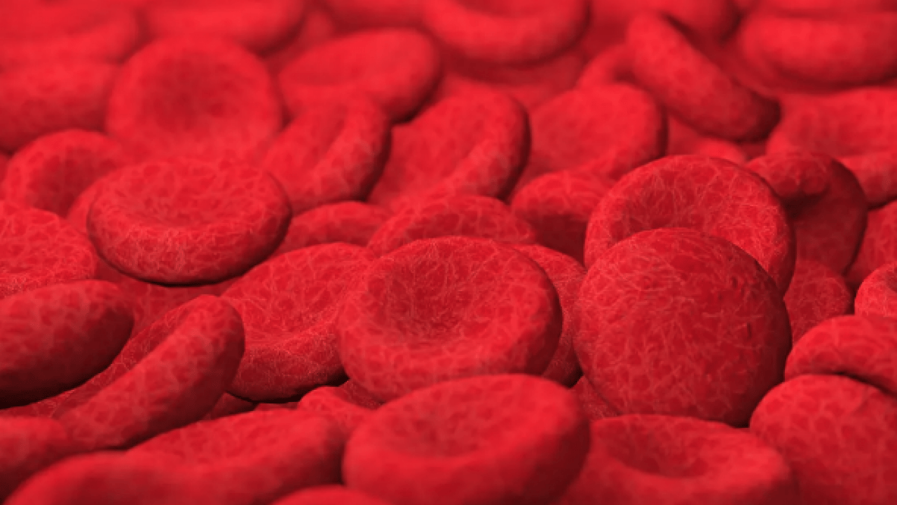 Foto - Viral hastalıklara... Enfeksiyon onlara uğramıyor: En sağlıklı kan grubu