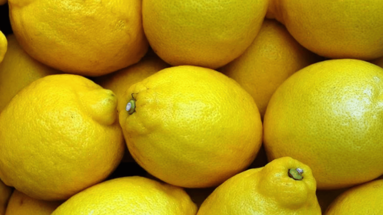 Foto - Vücuda etkileri saymakla bitmez! Dünyanın en sağlıklı 15 besini belli oldu