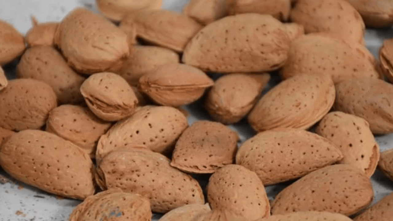 Foto - Vücuda etkileri saymakla bitmez! Dünyanın en sağlıklı 15 besini belli oldu