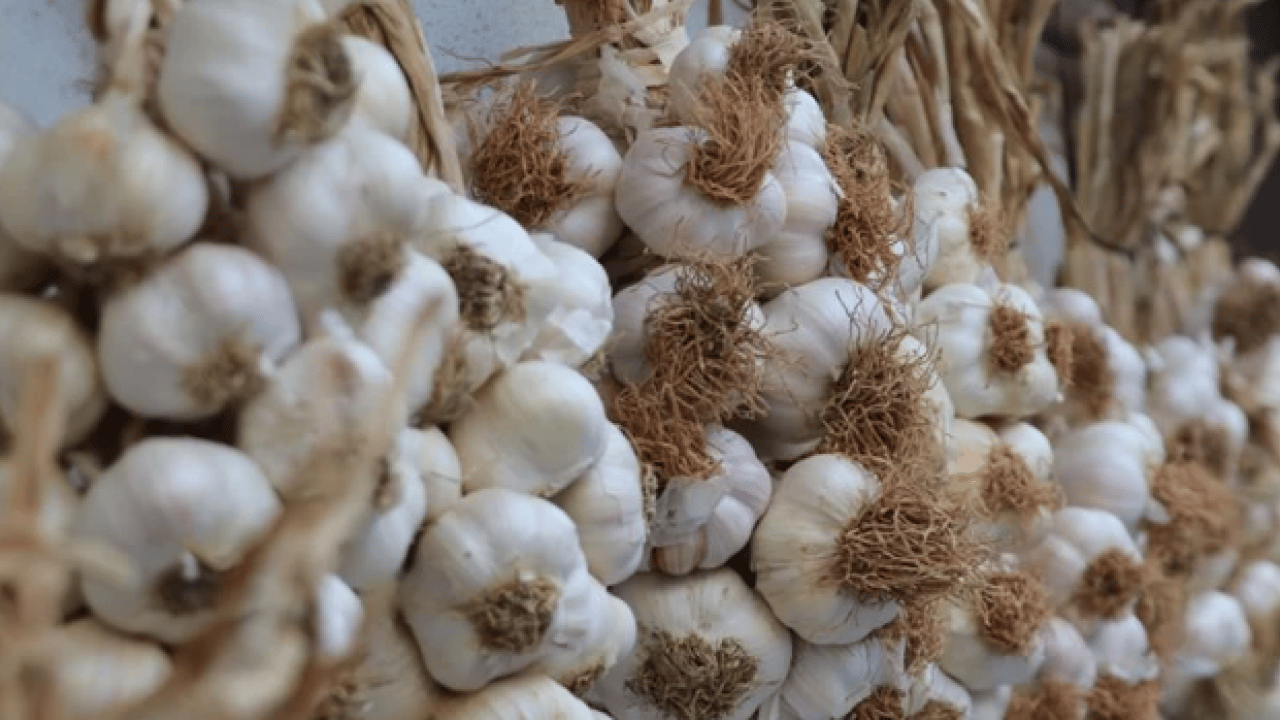 Foto - Vücuda etkileri saymakla bitmez! Dünyanın en sağlıklı 15 besini belli oldu