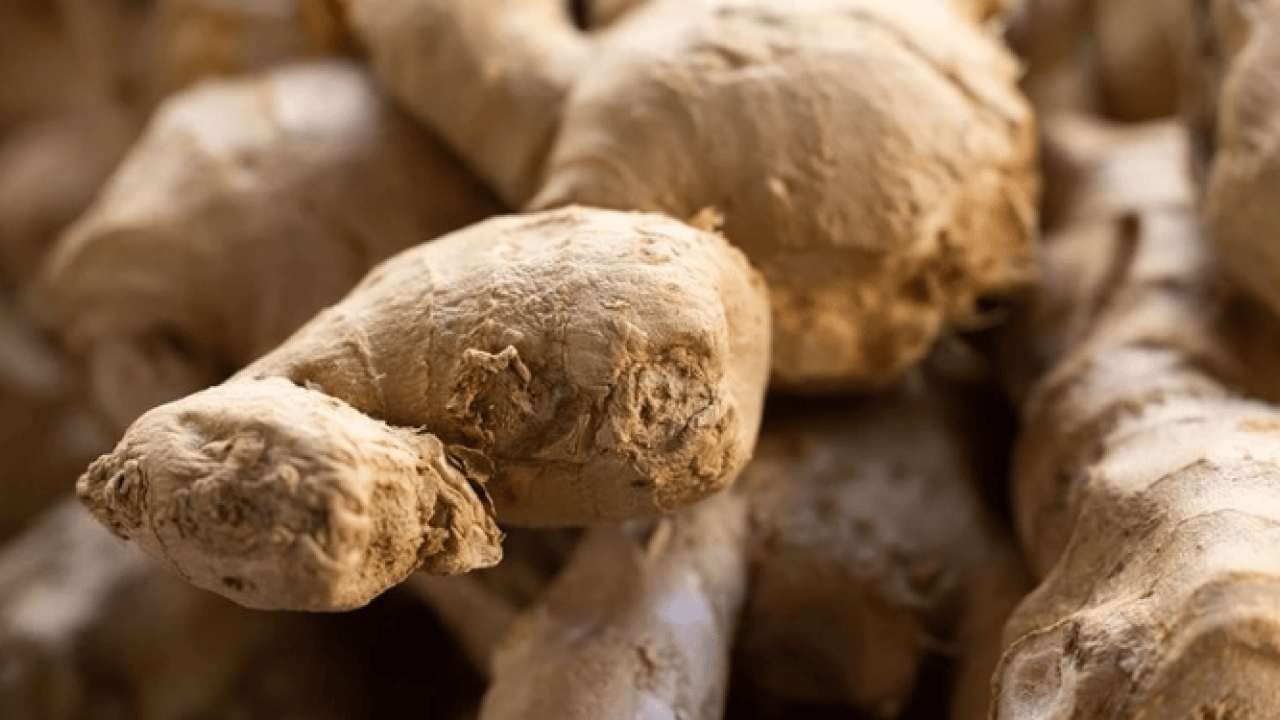 Foto - Vücuda etkileri saymakla bitmez! Dünyanın en sağlıklı 15 besini belli oldu