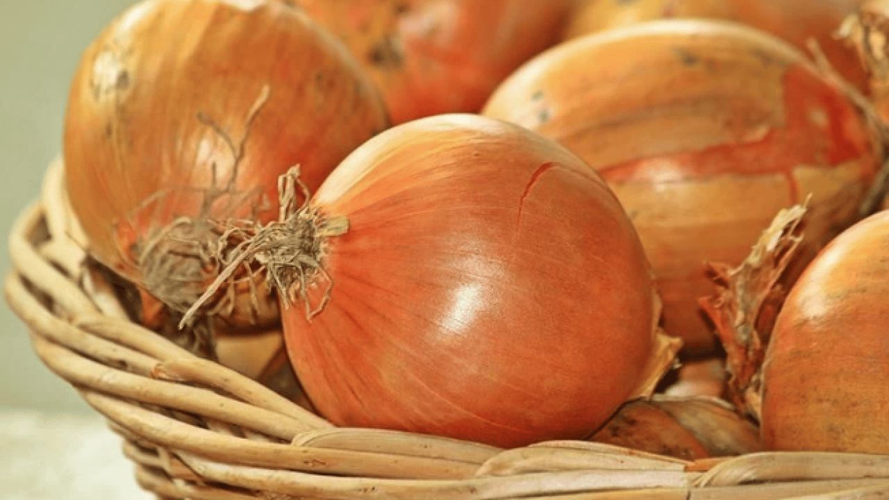 Foto - Vücuda etkileri saymakla bitmez! Dünyanın en sağlıklı 15 besini belli oldu